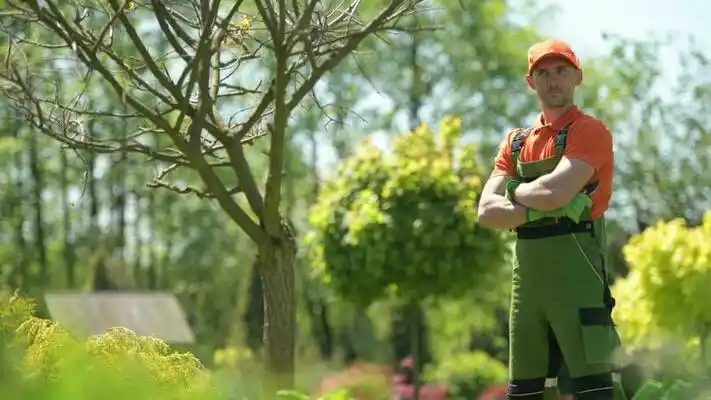 landscaping services Normandy Park